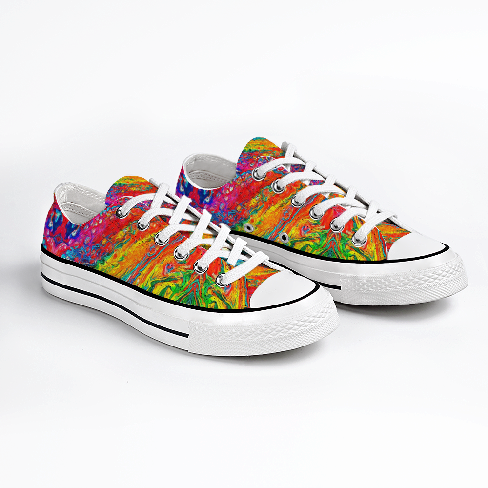 Colourful Sneaker Paint By Numbers - PBN Canvas