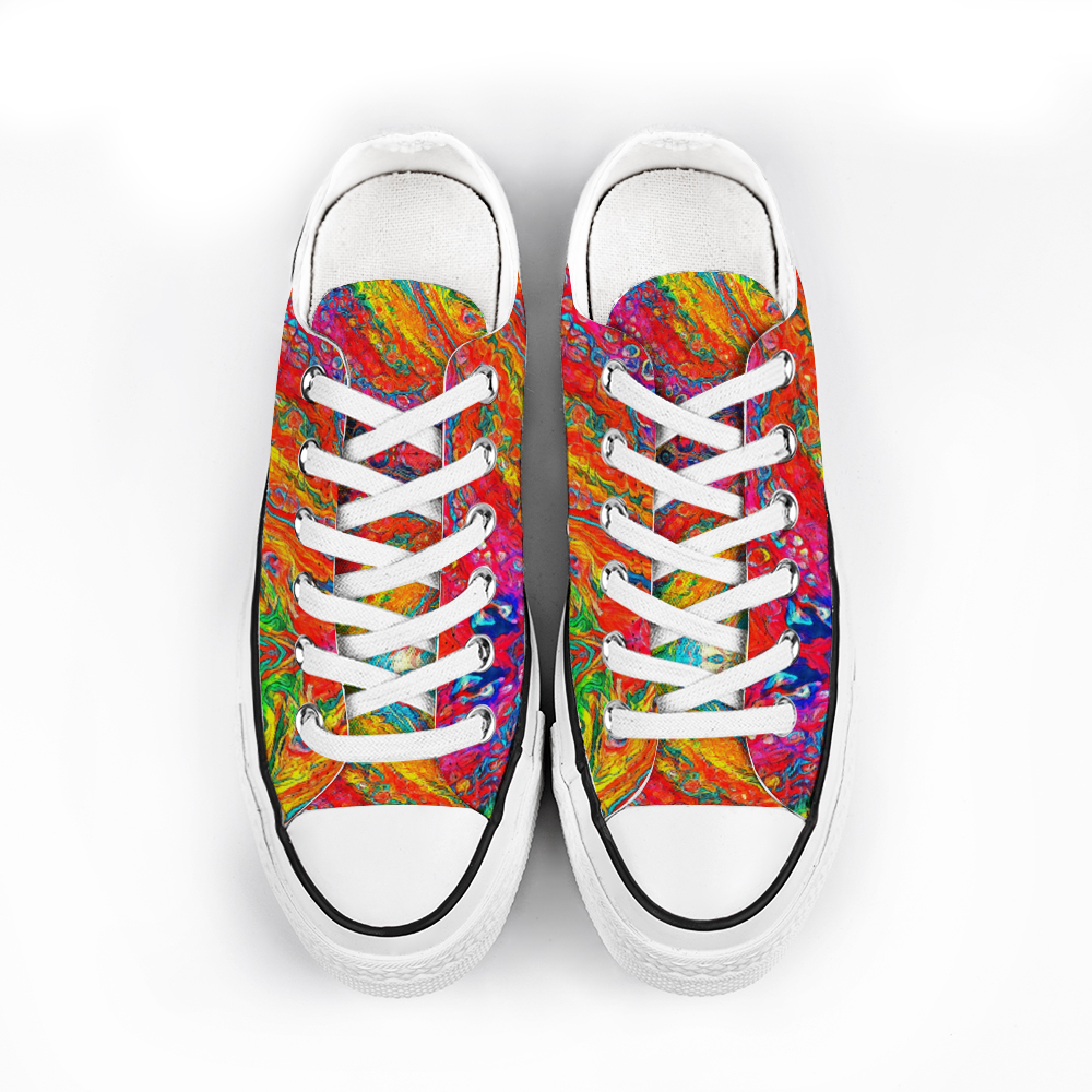 Colourful Sneaker Paint By Numbers - PBN Canvas